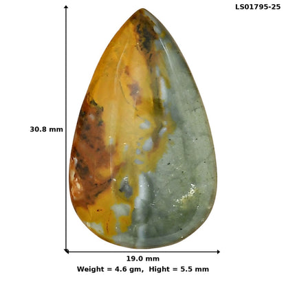 Rocky Butte Picture Jasper 30.8x19x5.5 mm Pear Gemstone LS01795-25