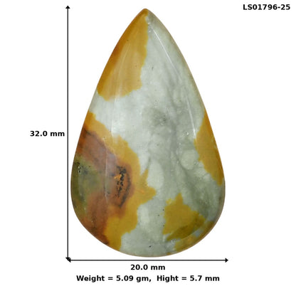 Rocky Butte Picture Jasper 32x20x5.7 mm Pear Gemstone LS01796-25