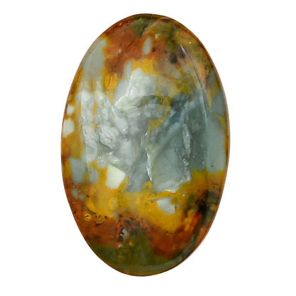 Rocky Butte Picture Jasper 30.2x19.5x4.7 mm Oval Gemstone LS01805-25