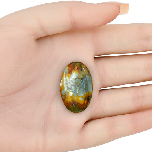Rocky Butte Picture Jasper 30.2x19.5x4.7 mm Oval Gemstone LS01805-25