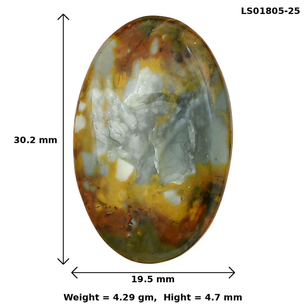 Rocky Butte Picture Jasper 30.2x19.5x4.7 mm Oval Gemstone LS01805-25
