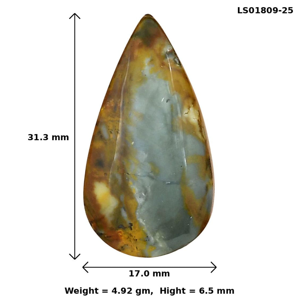 Rocky Butte Picture Jasper 31.3x17x6.5 mm Pear Gemstone LS01809-25