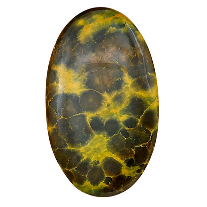 Ocean Jasper 39.8x23.7x5 mm Oval Gemstone LS01847-27