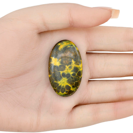 Ocean Jasper 39.8x23.7x5 mm Oval Gemstone LS01847-27