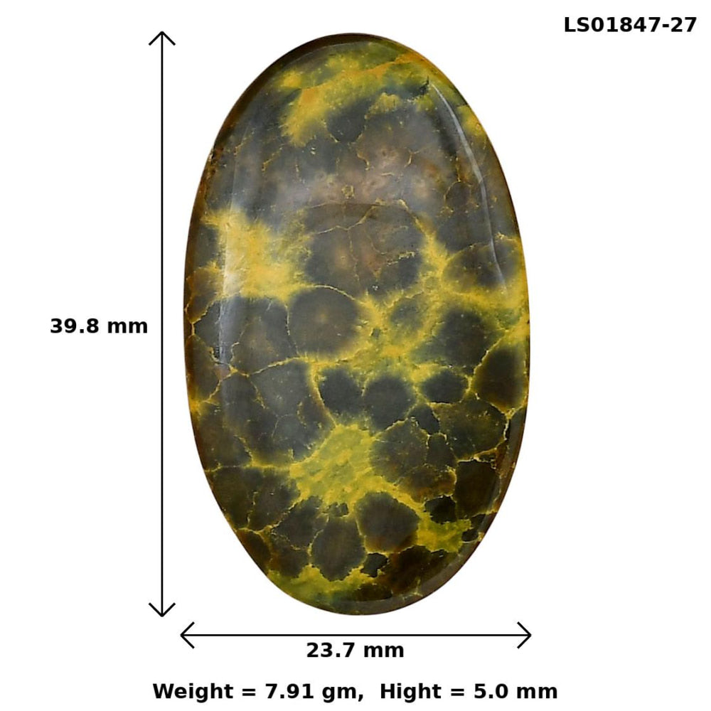Ocean Jasper 39.8x23.7x5 mm Oval Gemstone LS01847-27