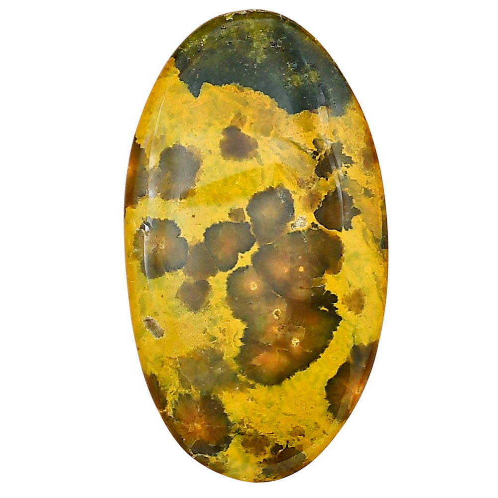 Ocean Jasper 40.4x22.5x6 mm Oval Gemstone LS01849-27