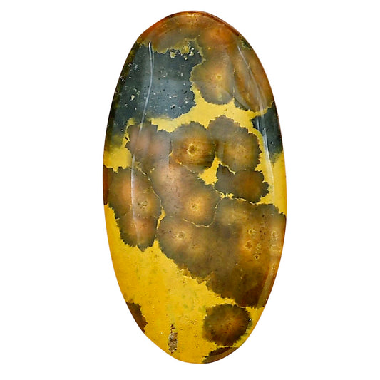 Ocean Jasper 39.7x20.6x5 mm Oval Gemstone LS01852-27