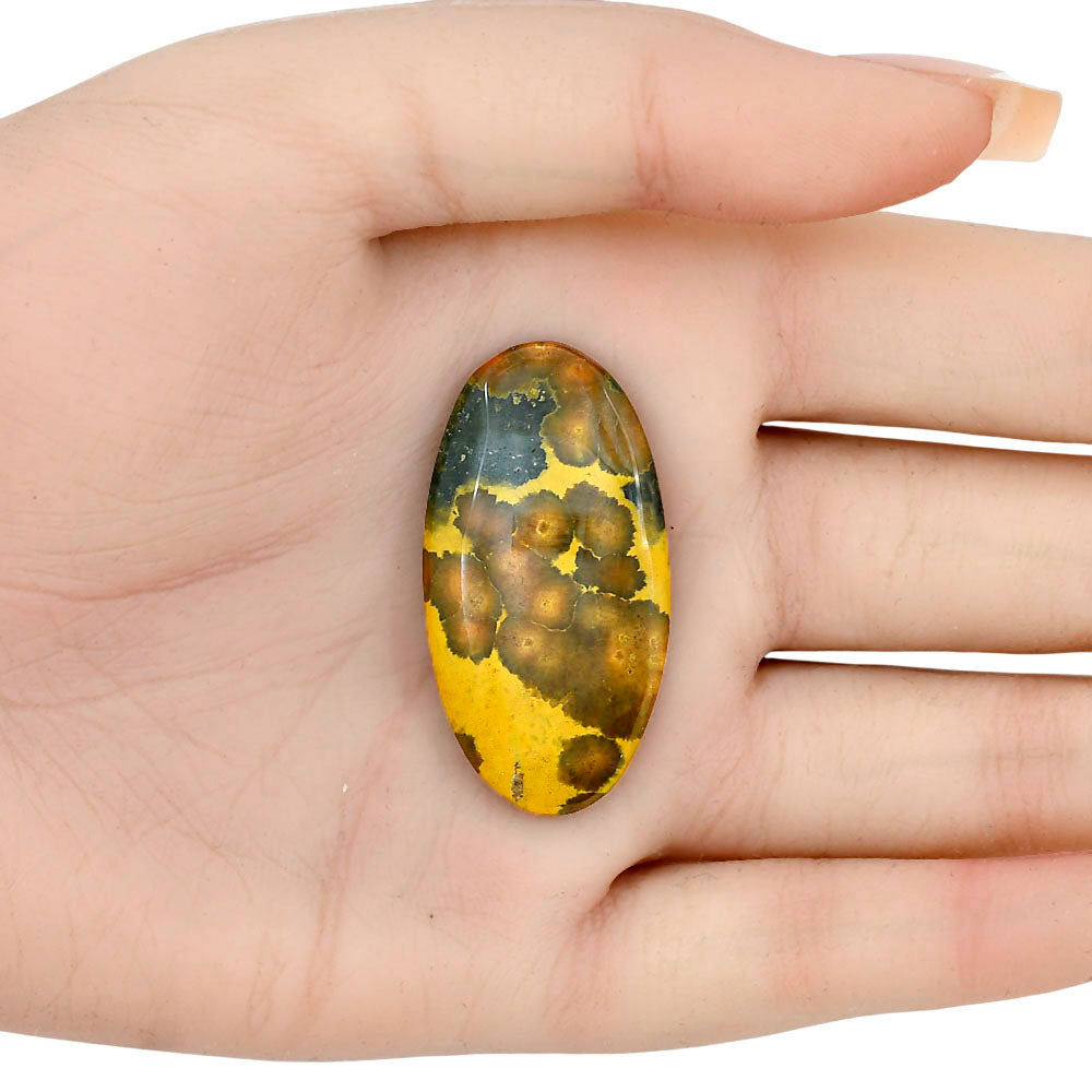 Ocean Jasper 39.7x20.6x5 mm Oval Gemstone LS01852-27