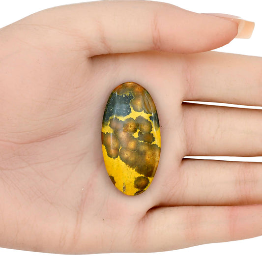 Ocean Jasper 39.7x20.6x5 mm Oval Gemstone LS01852-27
