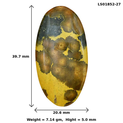 Ocean Jasper 39.7x20.6x5 mm Oval Gemstone LS01852-27