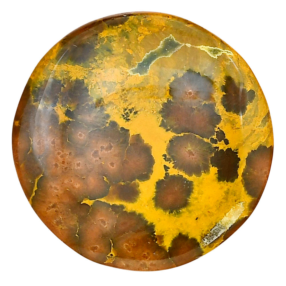 Ocean Jasper 33.3x33.3x6 mm Round Gemstone LS01853-27