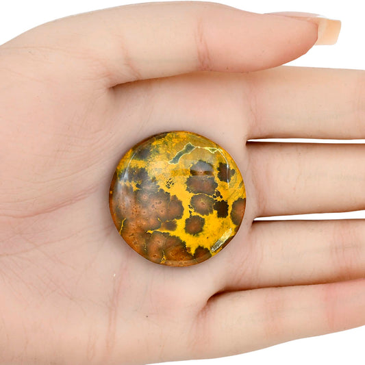 Ocean Jasper 33.3x33.3x6 mm Round Gemstone LS01853-27