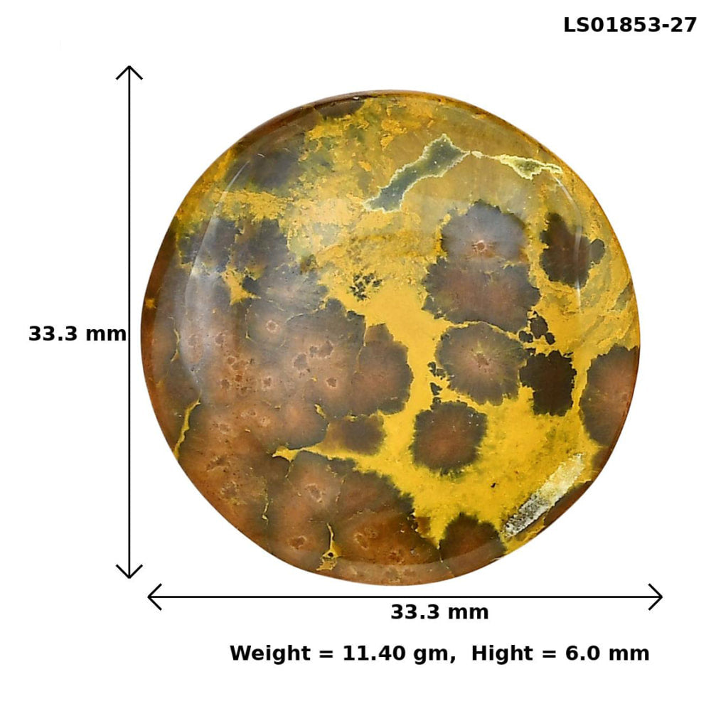 Ocean Jasper 33.3x33.3x6 mm Round Gemstone LS01853-27