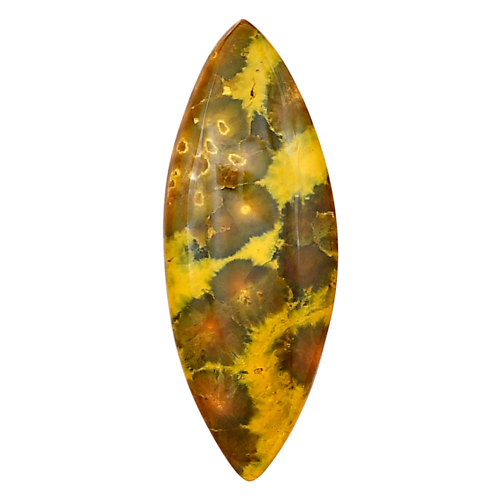 Ocean Jasper 37.3x14.1x5 mm Marquise Gemstone LS01857-27