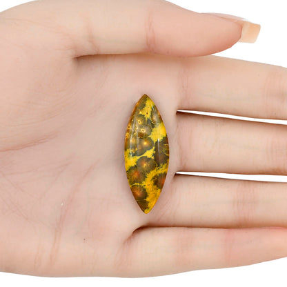 Ocean Jasper 37.3x14.1x5 mm Marquise Gemstone LS01857-27