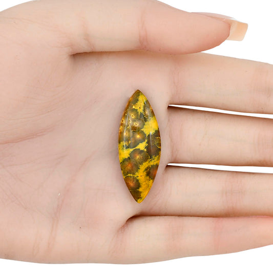 Ocean Jasper 37.3x14.1x5 mm Marquise Gemstone LS01857-27