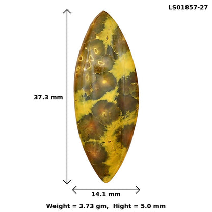Ocean Jasper 37.3x14.1x5 mm Marquise Gemstone LS01857-27