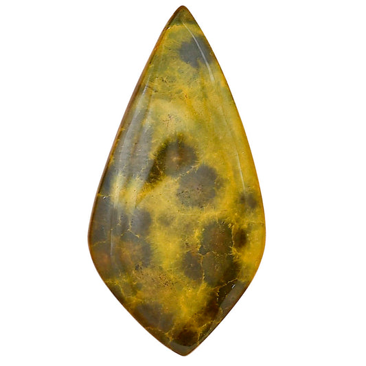 Ocean Jasper 42x21.4x4.5 mm Fancy Gemstone LS01862-27