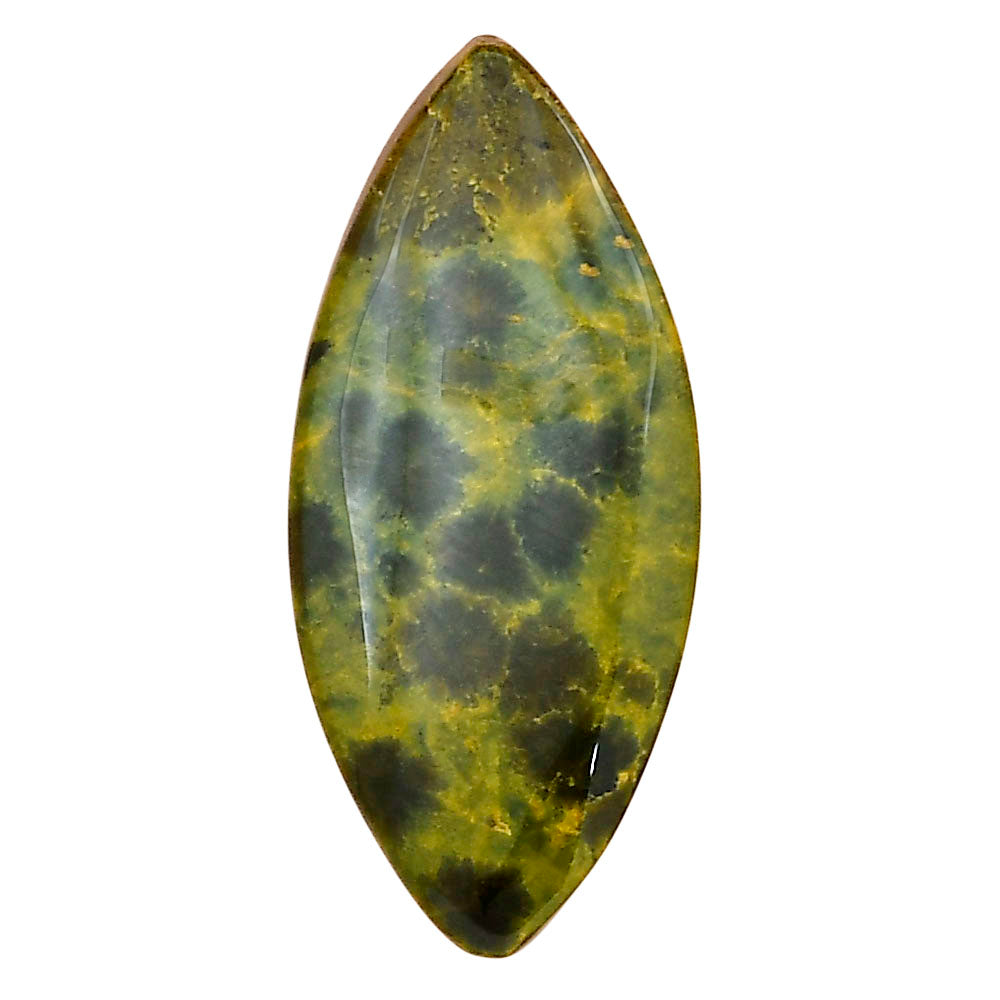 Ocean Jasper 36.6x16.4x5.5 mm Marquise Gemstone LS01863-27