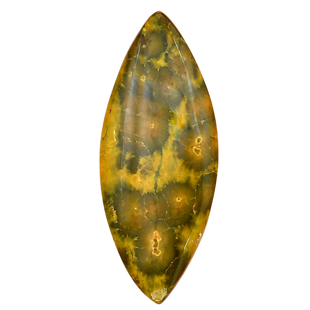 Ocean Jasper 42.5x17.2x5.5 mm Marquise Gemstone LS01865-27