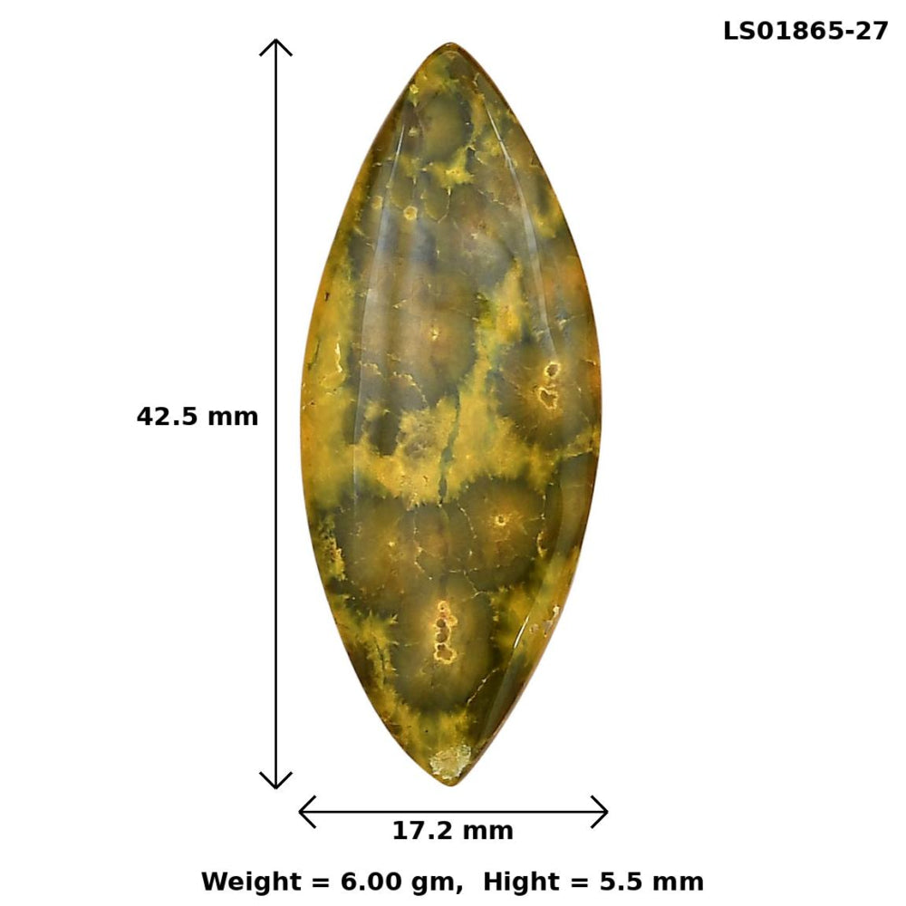 Ocean Jasper 42.5x17.2x5.5 mm Marquise Gemstone LS01865-27
