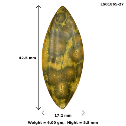 Ocean Jasper 42.5x17.2x5.5 mm Marquise Gemstone LS01865-27