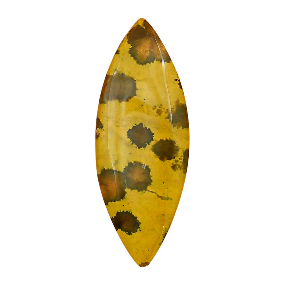Ocean Jasper 43.8x16.7x5 mm Marquise Gemstone LS01866-27