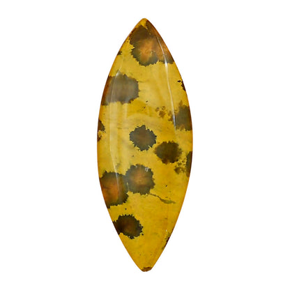 Ocean Jasper 43.8x16.7x5 mm Marquise Gemstone LS01866-27