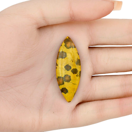 Ocean Jasper 43.8x16.7x5 mm Marquise Gemstone LS01866-27