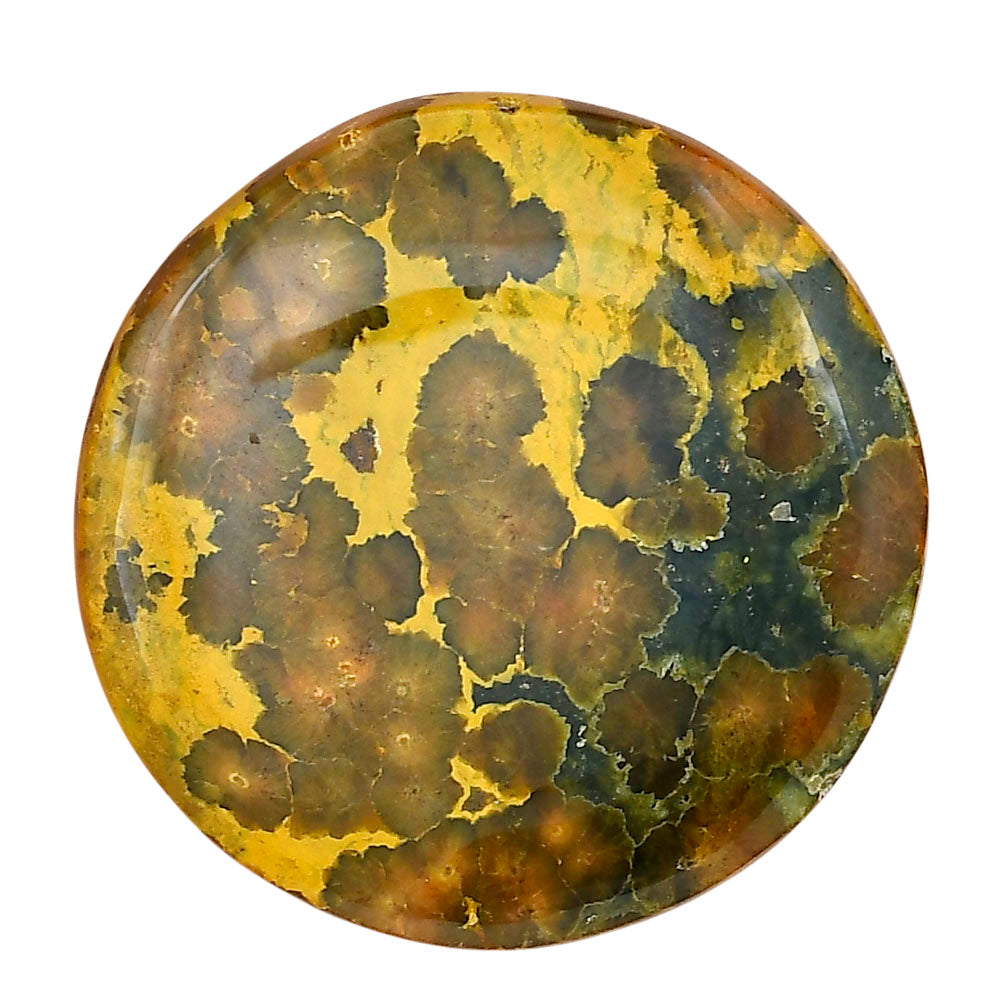 Ocean Jasper 36.8x36.8x6 mm Round Gemstone LS01867-27