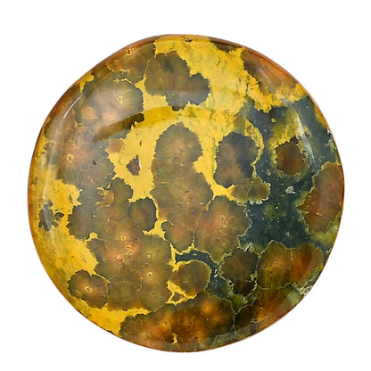 Ocean Jasper 36.8x36.8x6 mm Round Gemstone LS01867-27