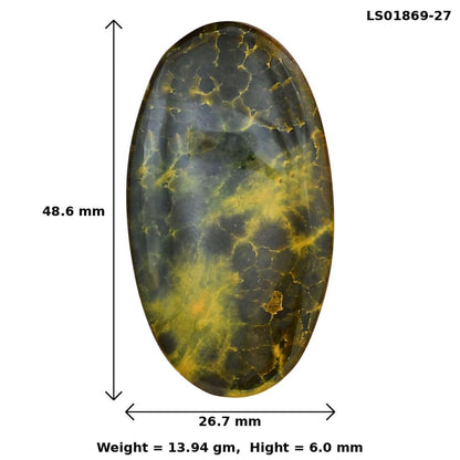 Ocean Jasper 48.6x26.7x6 mm Oval Gemstone LS01869-27