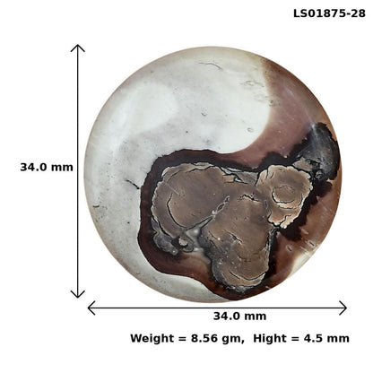Coffee Bean Jasper 34x34x4.5 mm Round Gemstone LS01875-28