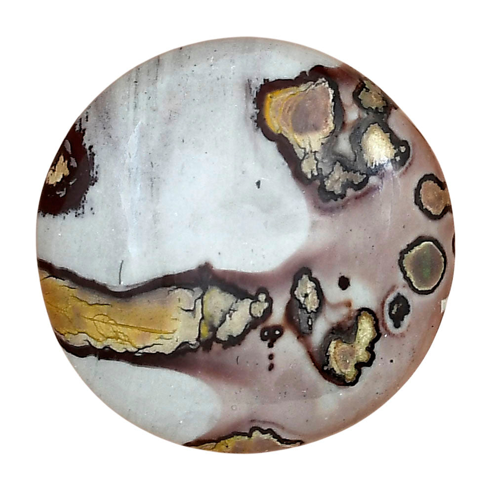 Coffee Bean Jasper 31.3x31.3x6 mm Round Gemstone LS01876-28