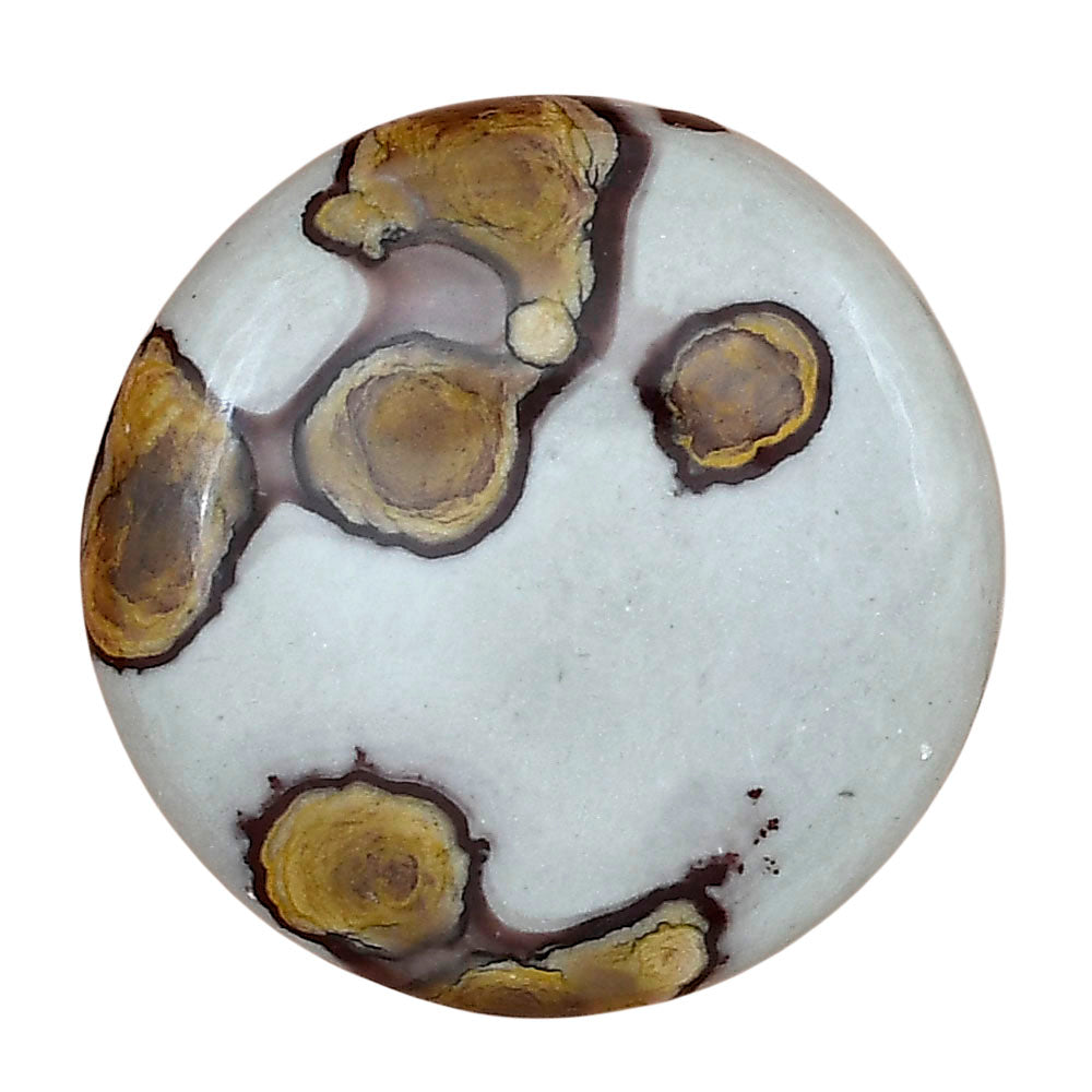 Coffee Bean Jasper 31.3x31.3x7.5 mm Round Gemstone LS01877-28