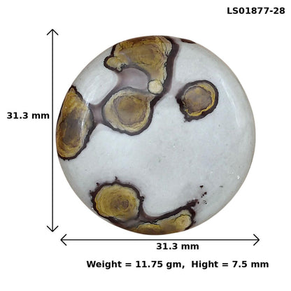 Coffee Bean Jasper 31.3x31.3x7.5 mm Round Gemstone LS01877-28