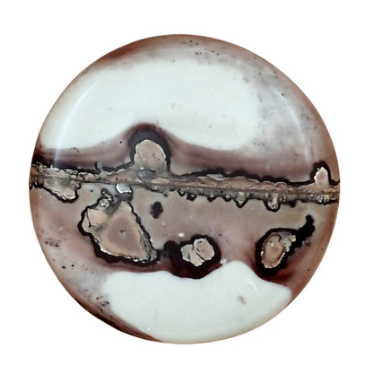 Coffee Bean Jasper 30.8x30.8x5 mm Round Gemstone LS01879-28