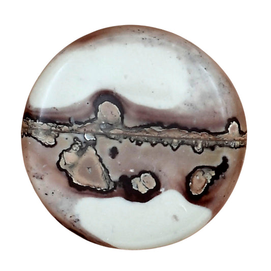 Coffee Bean Jasper 30.8x30.8x5 mm Round Gemstone LS01879-28