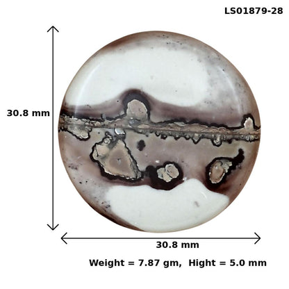 Coffee Bean Jasper 30.8x30.8x5 mm Round Gemstone LS01879-28
