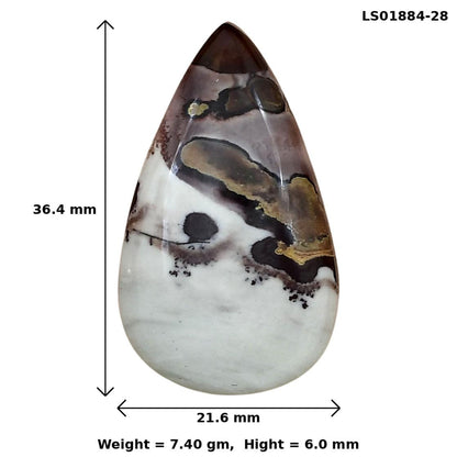 Coffee Bean Jasper 36.4x21.6x6 mm Pear Gemstone LS01884-28