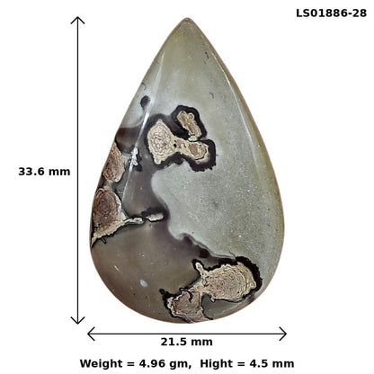 Coffee Bean Jasper 33.6x21.5x4.5 mm Pear Gemstone LS01886-28