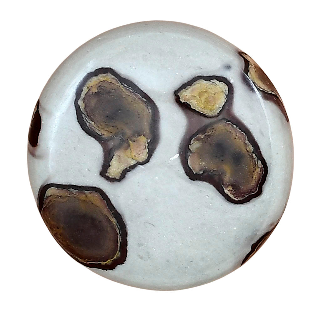 Coffee Bean Jasper 29.8x29.8x5 mm Round Gemstone LS01887-28