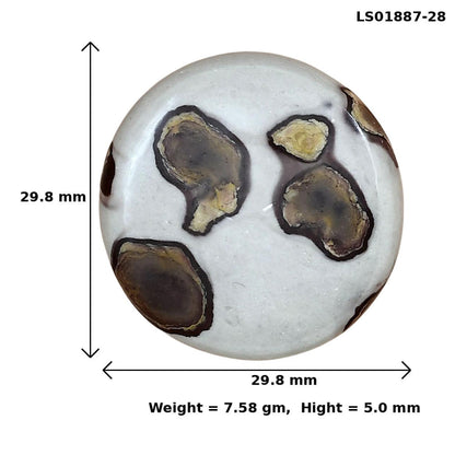 Coffee Bean Jasper 29.8x29.8x5 mm Round Gemstone LS01887-28