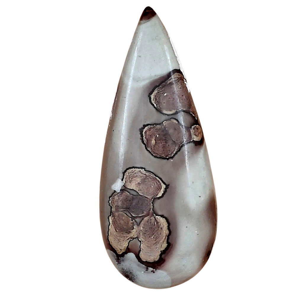 Coffee Bean Jasper 42.8x17.8x5 mm Pear Gemstone LS01890-28