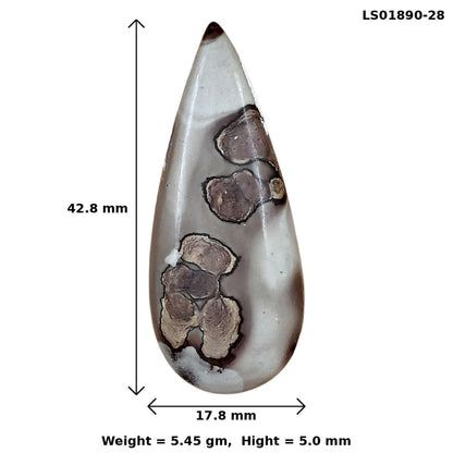 Coffee Bean Jasper 42.8x17.8x5 mm Pear Gemstone LS01890-28