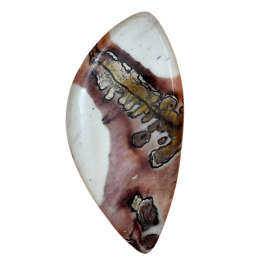 Coffee Bean Jasper 41.9x20.6x4.5 mm Fancy Gemstone LS01896-28