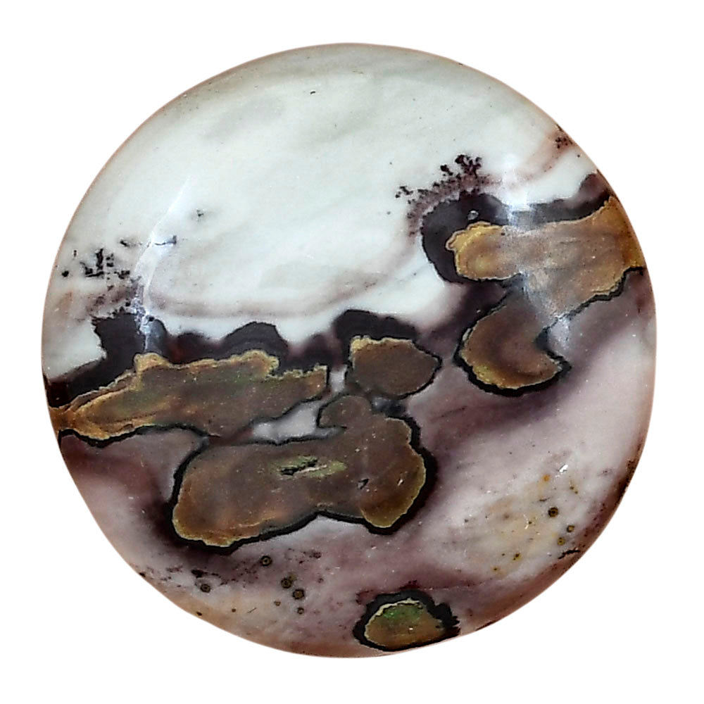Coffee Bean Jasper 29.7x29.7x7 mm Round Gemstone LS01897-28