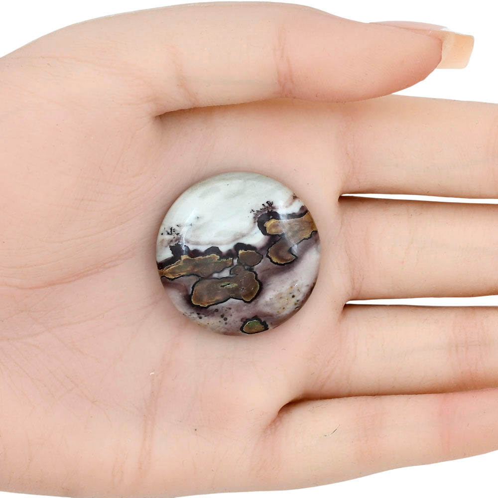 Coffee Bean Jasper 29.7x29.7x7 mm Round Gemstone LS01897-28