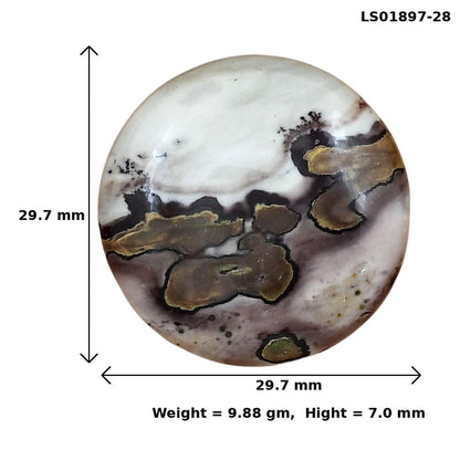 Coffee Bean Jasper 29.7x29.7x7 mm Round Gemstone LS01897-28