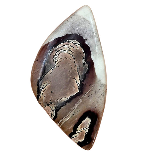 Coffee Bean Jasper 39.7x21x5 mm Fancy Gemstone LS01906-28